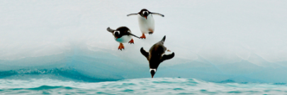Archiver Month Live Webinars
